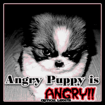 angrypuppyangry.gif