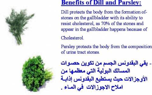 diet8 - Diet of Prophet Mohammar(P.B.U.H)