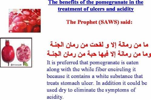 diet9 - Diet of Prophet Mohammar(P.B.U.H)