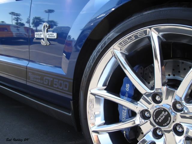 blueSS10x75.jpg