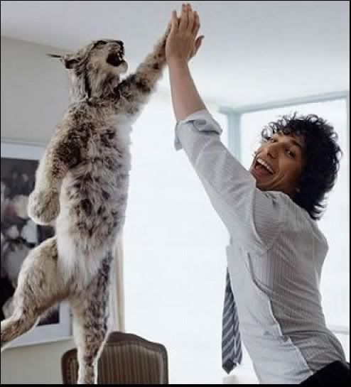 Forum Image: http://i672.photobucket.com/albums/vv84/037641/andysamberg.jpg