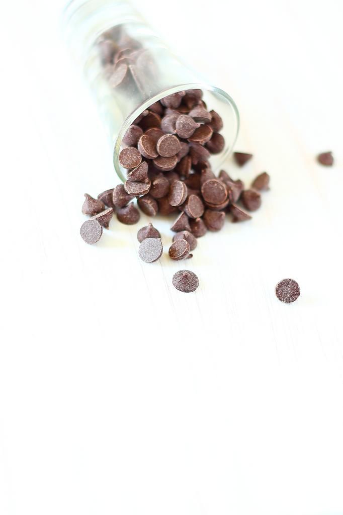 Chocolate Chip photo IMG_1034.jpg