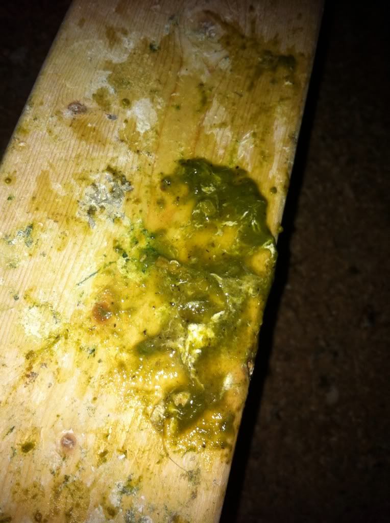 Fluorescent poop??? PigeonTalk