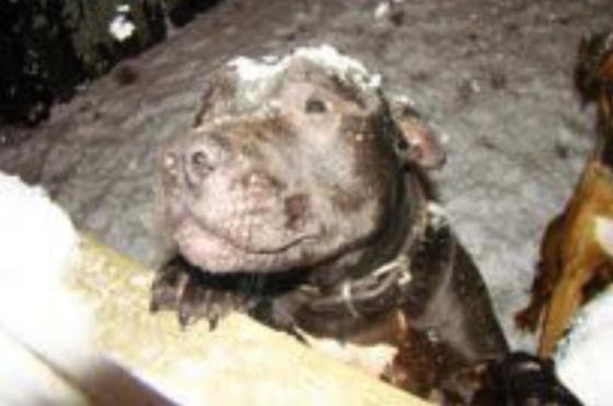 Save Lennox