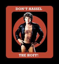 dont_hassel_the_hoff.jpg