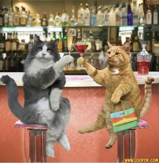 Gặp nhau cuối tuần  Club Tửu Lượng Vô Biên