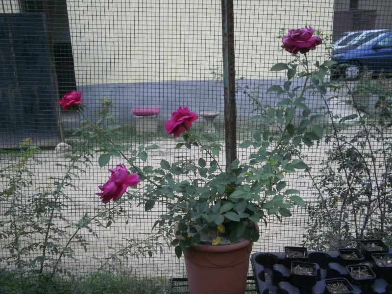 PA060015.jpg