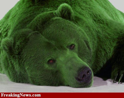 Greenzly-Bear--54695.jpg