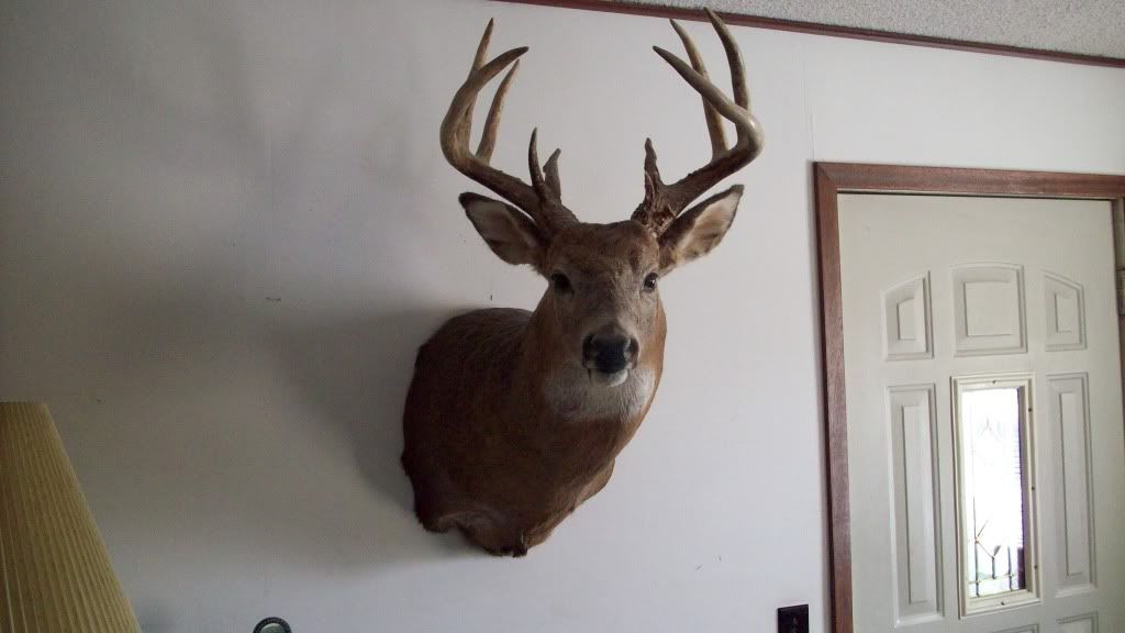FirstBuck.jpg