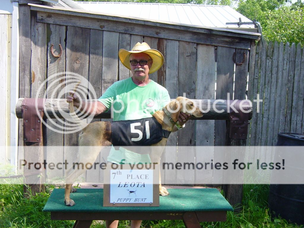 Download Lagu Agnes Monica Tanpa Kekasihku  Black 